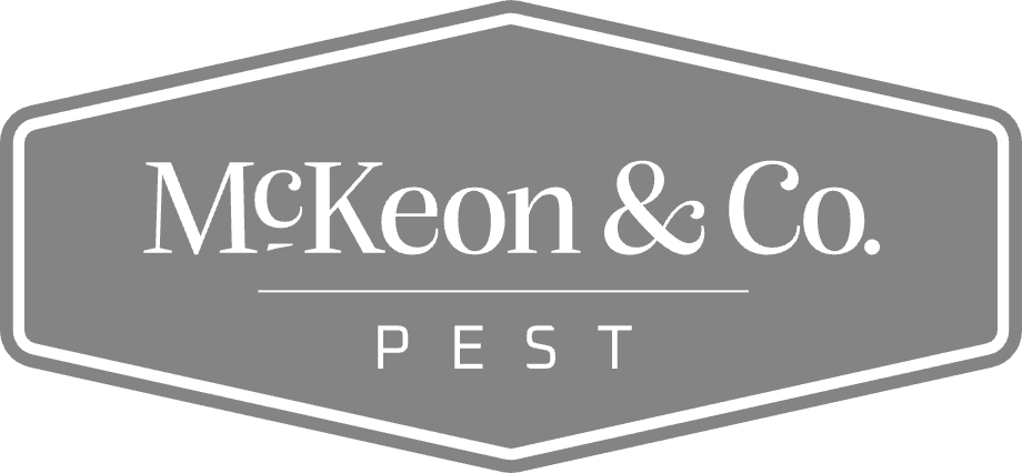McKeon & Co. Pest